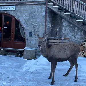 Schody Do Nieba Homestay Zakopane